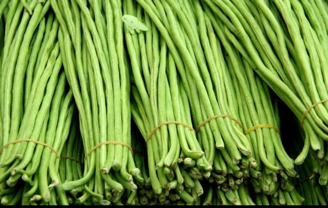 长豆角