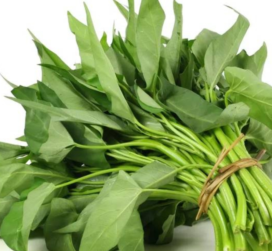 空心菜（暂缺）