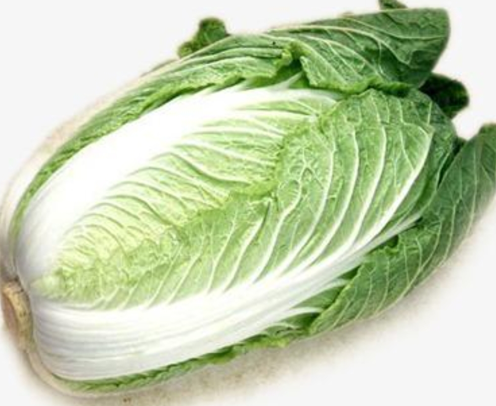 白菜