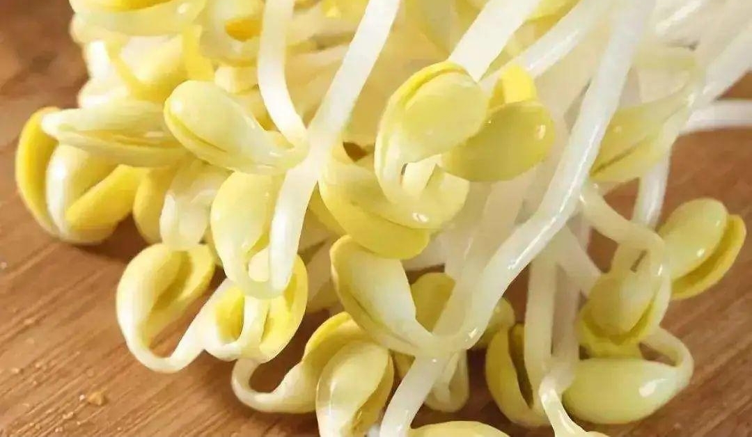 大豆芽（黄豆芽）