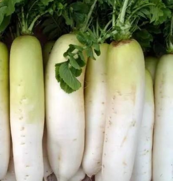 白萝卜