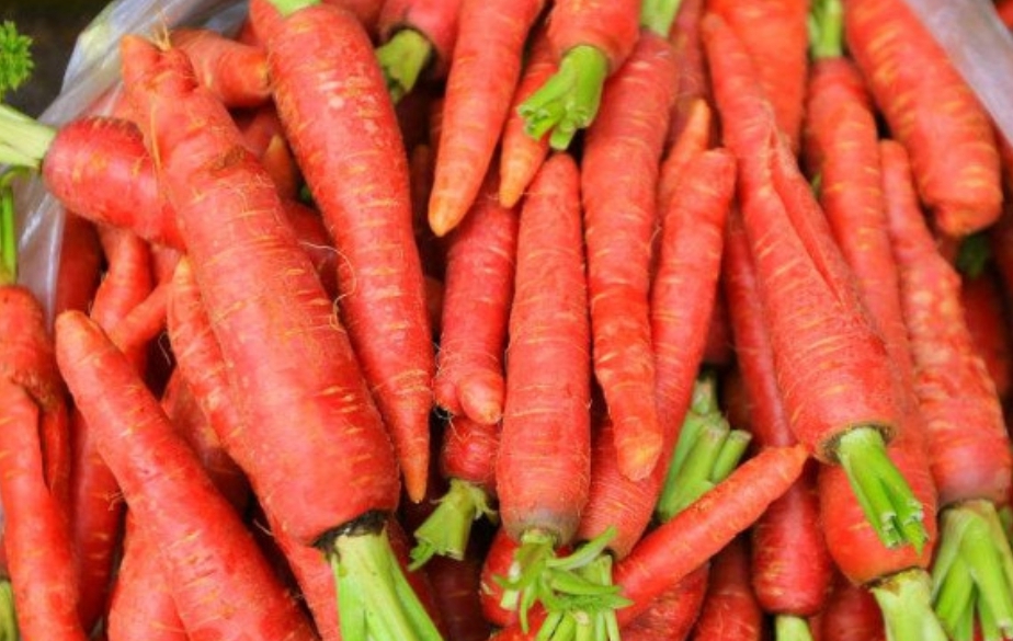 红萝卜